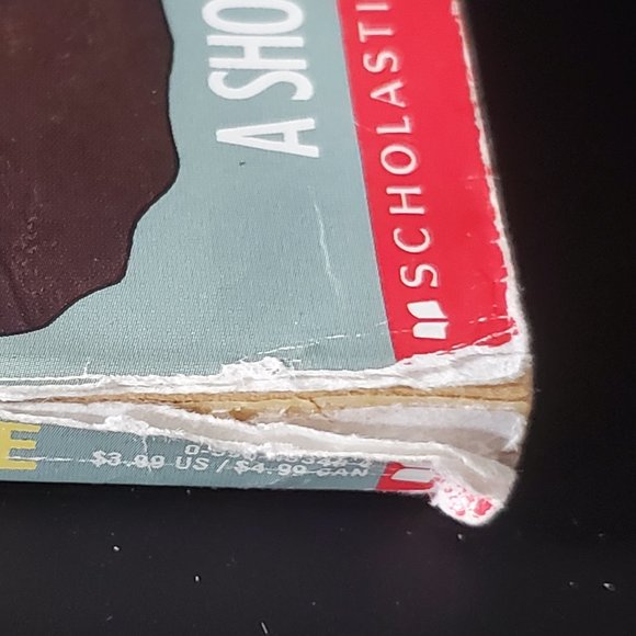 Bundle of 15 VINTAGE Goosebumps Books - Picture 10 of 11